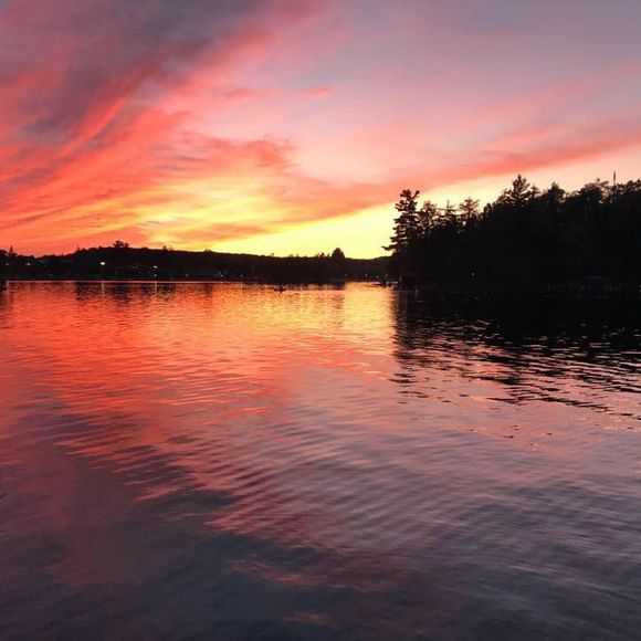 Meet your Posher, Paula - Picture 1 of 1